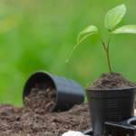 A Team Of Scientists From NASA&rsquo;s Jet Propulsion
